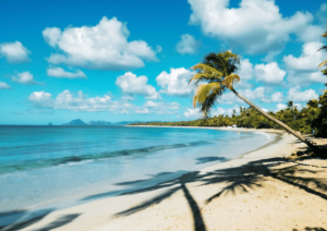 Lire la suite à propos de l’article Reprendre confiance en soi au travail en Martinique : retrouver équilibre et sérénité