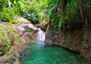 EL’MRH vous accompagne en Martinique avec des bilans de compétences et des outils de gestion du stress pour retrouver confiance.